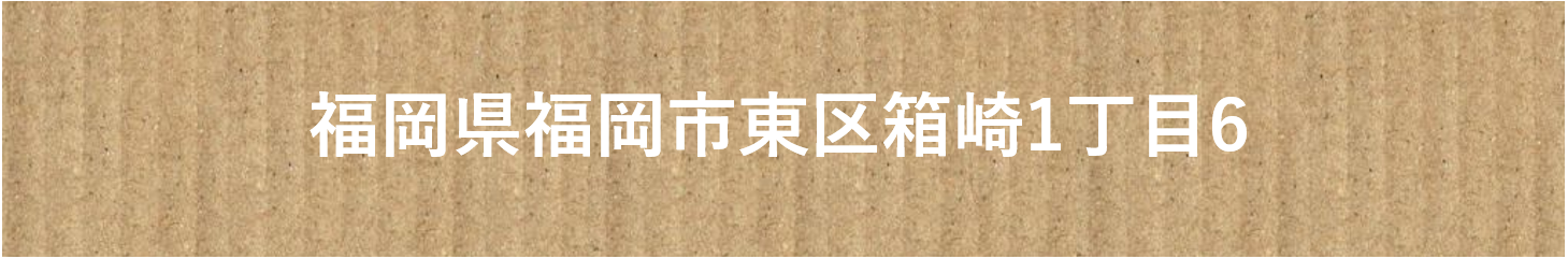 c3351a5f3b54241a3f220333ae75d9e2